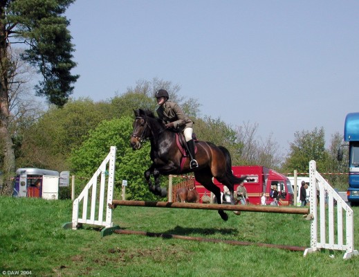 2004, Horse jumping
