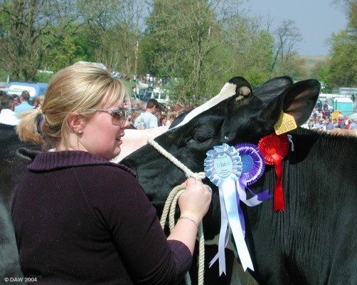 2004, Prize winners in the Arena
