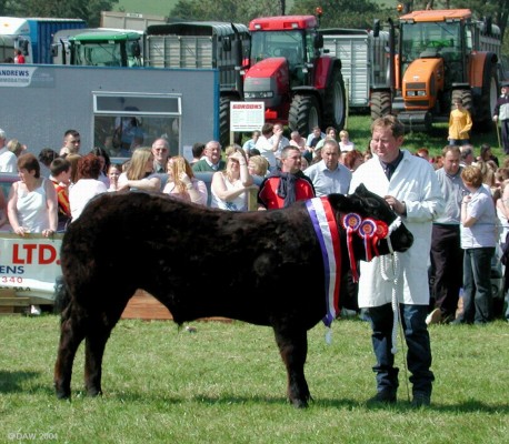 2004, 1st Prize winner, I believe
