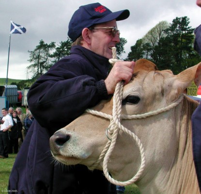 2005, Cattle parade in main ring
