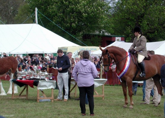 2005, Handing out of the Trophies
