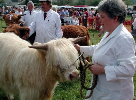 2007, the ultimate comb over ?
