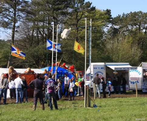 2009, Sheep tossing
The sheep seems to have taken fright, but luckily there's a stand in bag.
