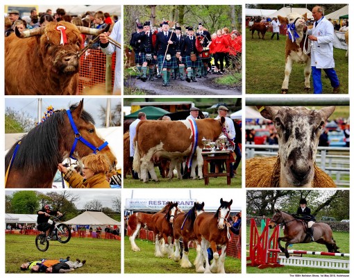 The 185th Neilston Show, Holehouse, Neilston

