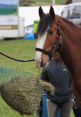 2010, its always a good idea to bring a packed lunch
