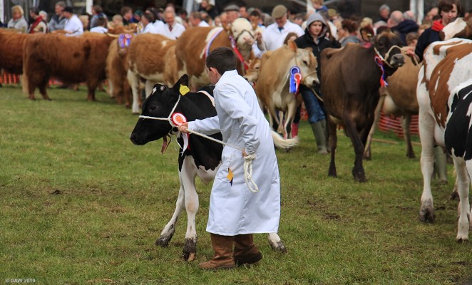 2010, Grand Parade, there's always one that doesn't want to stay in line
