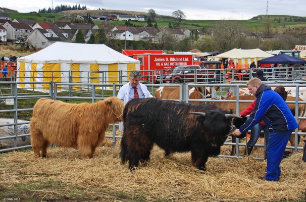 2013, Highland Castle
