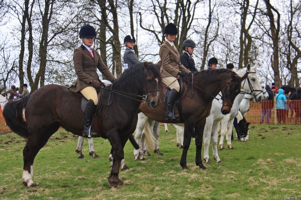 2013, Horse line up

