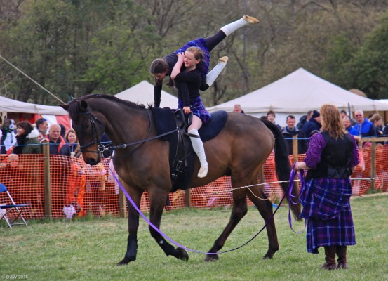 2015, Riders of the Storm
