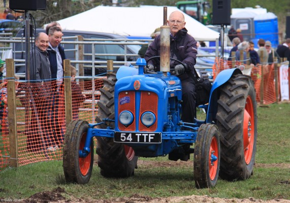 2016, Vintage tractor
A Fordson Dextra vintage Tractor.  Fordson was the brand name Ford used for Tractors and also Trucks in the past.
