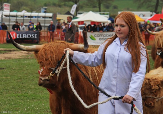 2016, Neilston Show, Grand Parade
Sometimes you just want to have a wee rest.

