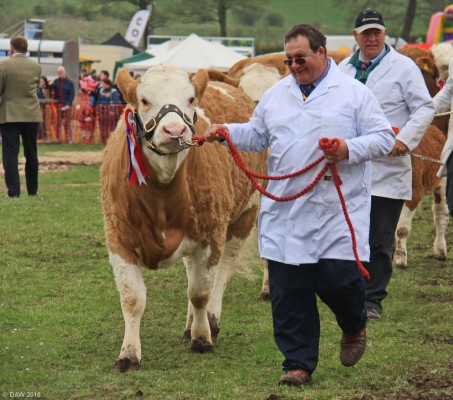 2016, Neilston Show, Grand Parade
