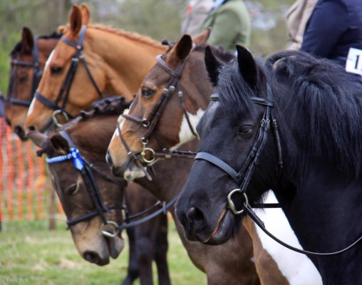 2016, Why the long faces?
