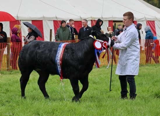 2023, Champion of Champions for the 2023 show
