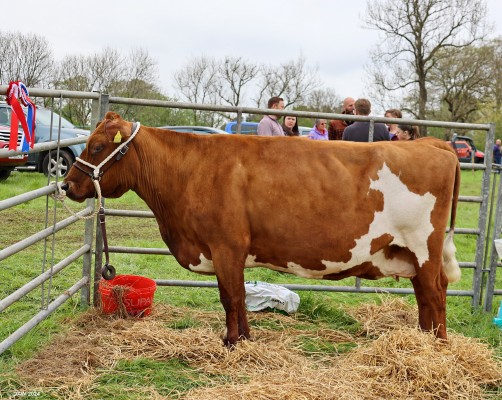 2024, is this my best side?
