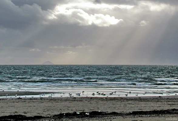 Ailsa Craig from Girvan in winter
