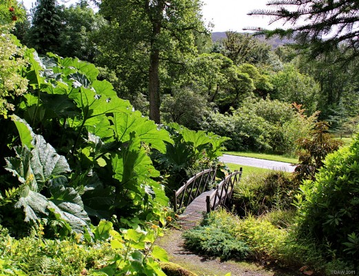 Attadale Gardens, Strathcarron
A view in [url=http://www.attadalegardens.com/] Attadale Gardens [/url], situated on the south side of Loch Carron. 
