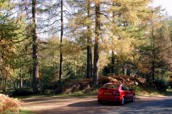 Glen Finart
When travelling by road to Dunoon a pleasant detour at any time of year is the single track road down Glen Finart via Ardentinny. [url=http://www.multimap.com/map/browse.cgi?lat=56.0812&lon=-4.955&scale=25000&icon=x/]Map Location[/url]

