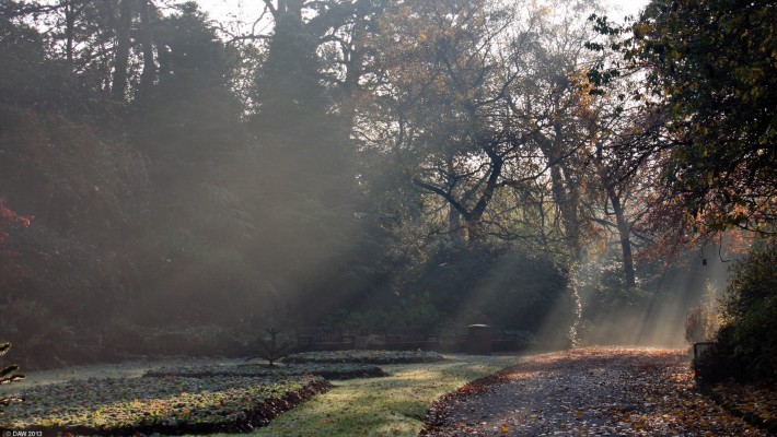 Autumn Sun, Victoria Park, Glasgow
Rays of Autumn sun stream through the trees at the old quarry area of Victoria Park.
