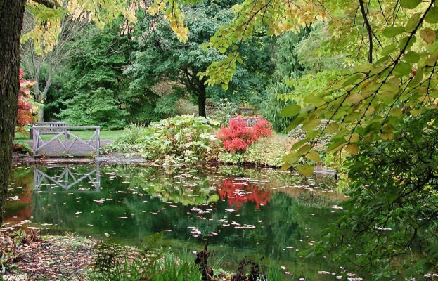 Benmore Botanic Garden
Autumn colours at the Benmore Botanic Gardens located just outside Dunoon. The garden extends to some 124 acres over the slopes of Benmore Hill.  The estate was given to the nation by Harry Geroge Younger in 1925 and in 1929 became part of the Royal Botanic Garden in Edinburgh. The[url=http://www.streetmap.co.uk/map.srf?X=213977&Y=684842&A=Y&Z=120/] Map location. [/url]
