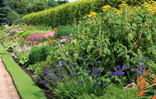 St Andrews Botanic Gardens
Some of the formal flower beds at [url=http://www.st-andrews.ac.uk/~gdk/stabg_new/index.html/] St Andrews Botanic Gardens. [/url]

