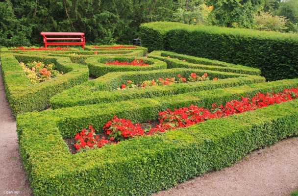 Box hedging, Cawdor Castle Garden
