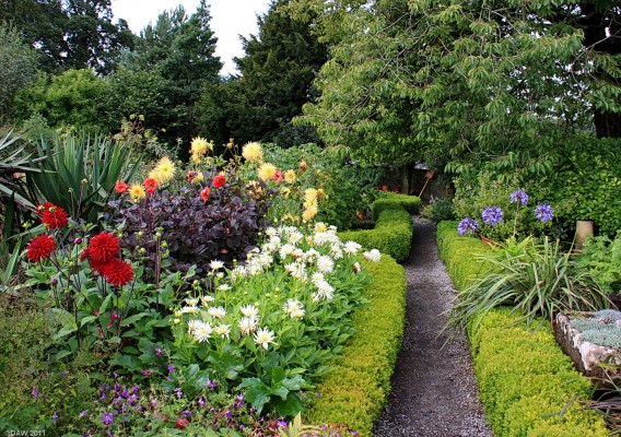 Broughton House Gardens, Kirkcudbright
[url=http://www.streetmap.co.uk/map.srf?X=268107&Y=551077&A=Y&Z=115/] Map location. [/url]
