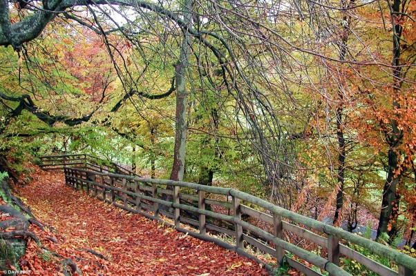 Calderglen Country Park, East Kilbride, Autumn
Calderglen Country park extends to some 300 acres of woodland walks, sports facilities and children's Zoo and is all on the doorstep of Scotland's largest "new town", East Kilbride. [url=http://www.multimap.com/map/browse.cgi?lat=55.7466&lon=-4.1429&scale=25000&icon=x/]Map location.[/url]

