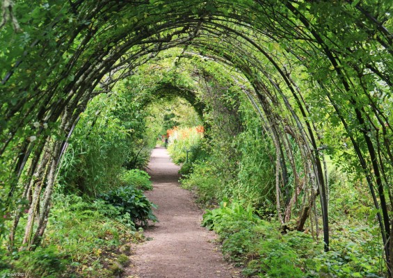 Cawdor Castle Gardens
[url=http://streetmap.co.uk/map.srf?X=284797&Y=849835&A=Y&Z=120/] Map location. [/url]
