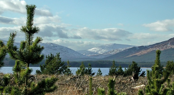 Clatteringshaws Loch, Winter
[url=http://www.multimap.com/map/browse.cgi?lat=55.0635&lon=-4.2677&scale=25000&icon=x/]Map location[/url]
