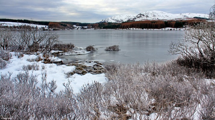 Clatteringshaws Loch in winter
Clatteringshaws Loch starting to thaw out in early 2010.  [url=http://www.streetmap.co.uk/map.srf?X=254775&Y=575817&A=Y&Z=115/] Map location. [/url]
