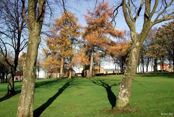 Cowan Park, Barrhead
Long winter shadows in Cowan Park. [url=http://www.streetmap.co.uk/map.srf?X=251020&Y=659297&A=Y&Z=120/] Map location. [/url]
