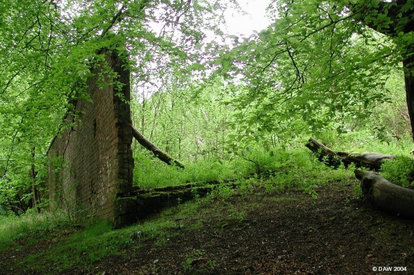 Remains of walled garden, Cowden Hall
Its difficult to find any recognisable parts left of the Cowden Hall built in 1860 by Robert Orr, the Mill owner.  This, I suspect, is part of what was the walled garden, it has been said to have had buried steam pipes to heat the soil.  The Orr family lived in the house until 1914 when it was used as a convalescant home during the first World War.  I am told it was occupied in one form or another until the 1960's when it was demolished.  Absolutely nothing remains of the house itself.
