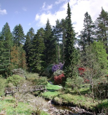 Crarae Gardens, Loch Fyne
With view out over Loch Fyne Crarae gardens with its colourfull Rhododendron collection is a great place to visit in the spring.  [url=http://www.streetmap.co.uk/map.srf?X=198515&Y=697322&A=Y&Z=120/] Map location. [/url]
