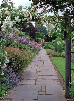 Crathes Castle Garden
The walled garden at Crathes Castle.  The garden actually consists of 8 gardens ranging from formal to modern, divided by huge Yew hedges seen here in the distance.
