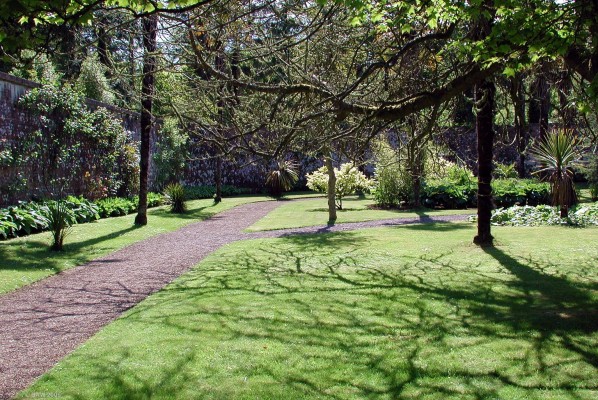 Crazed grass, Culzean Castle
The walled garden at Culzean Country Park.  Its spring and not all the trees are in leave yet, the branches of this one cast a shadow on the grass. [url=http://www.multimap.com/map/browse.cgi?lat=55.3510&lon=-4.7919&scale=25000&icon=x/]Map location[/url]
