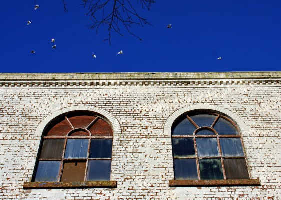 Crofthead Mill, Neilston
And today we're going to look through the Arched window.
