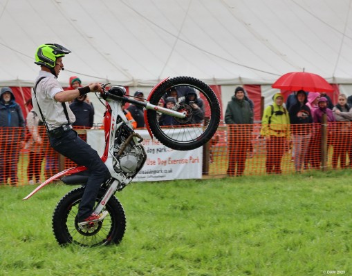 2023, Dangerous Steve
