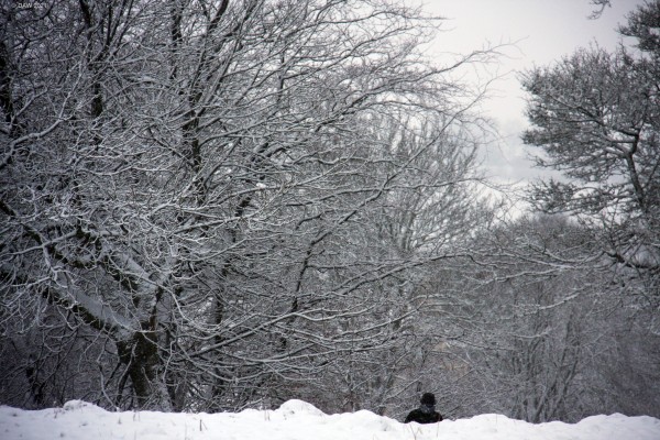 Dark figure, Cowden Hall, Neilston
Just as I took this photo a dark figure apparently in a trilby style hat with face covered appeared over the brow of the hill.
