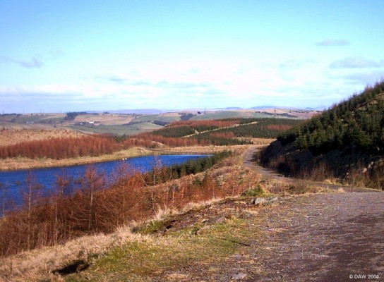 East Renfrewshire Community Woodland
Formally opened in 1995 this was hailed at the time as "the largest community woodland in the UK", covering some 150 hectares.  It came about through grant support by the forrestry Commission.  Despite a lack of vision and some opposition by the local council it has given easier access to what was already a popular local attraction for walkers. [url=http://www.multimap.com/map/browse.cgi?lat=55.7645&lon=-4.4356&scale=25000&icon=x]Map location[/url]
