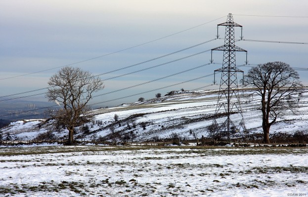 February, ZP14
ZP 14 takes shelter near some trees near Howcraigs hill on a cold February morning.  The tower blocks of Glasgow can be seen in the distance on the left hand side. [url=http://www.streetmap.co.uk/map.srf?X=244785&Y=655080&A=Y&Z=120/] Map location. [/url]
