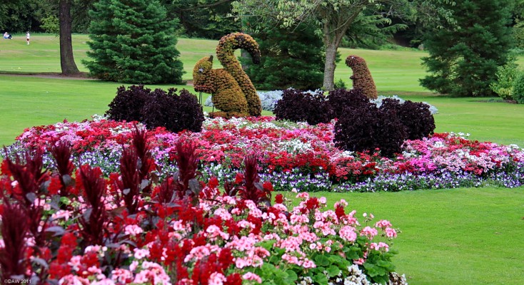 Floral Wildlife, Grant Park, Forres
The floral displays in Grant Park in Forres are worth a detour off the bypass just to see. [url=http://www.streetmap.co.uk/map.srf?X=304122&Y=859040&A=Y&Z=120/] Map location. [/url]
