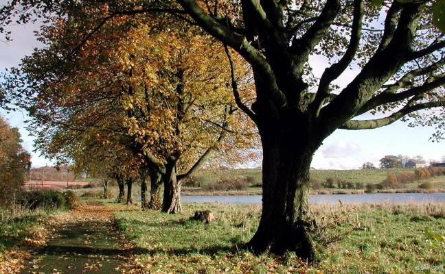 Foot path at the Ryat Linn reservoir
These paths were built at the time of the construction of the reservoirs above Barrhead in the late 1840's.  Today they are becoming what is known as the Dams to Darnley Country Park.  [url=http://www.streetmap.co.uk/map.srf?X=252064&Y=657380&A=Y&Z=115/] Map location. [/url]
