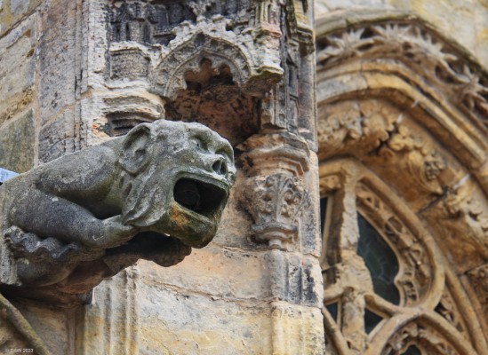 Gargoil, Rosslyn Chapel
[url=http://streetmap.co.uk/map?X=327500&Y=663079&A=Y&Z=115/] Map location. [/url]
