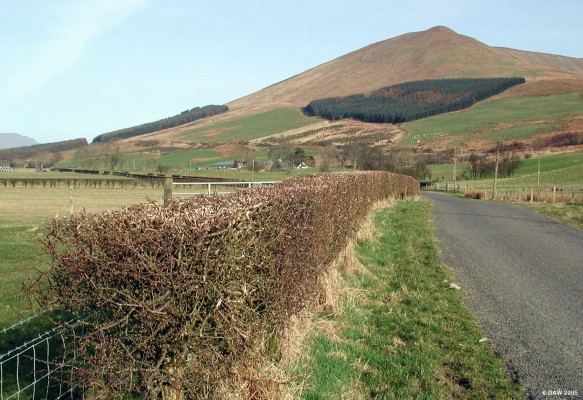 Glen Fruin, early spring
Most tourist by-pass Glen Fruin as they head up Loch Lomond.  It runs from near Loch Lomond over to Gairloch giving spectacular view over Gairloch.   This view is from old road with Balcnock rising to 638 metres in the background.  A new road was constructed in the 1980's to give easier access to Coulport for Trident warhead convoys.
