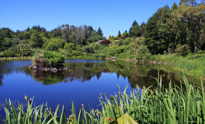 Glenwhan Garden and Arboretum
The pond at [url=https://glenwhangardens.co.uk/] Glenwhan [/url] garden at Dunragit, near Stranraer.
