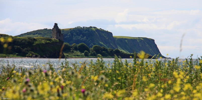 The Heads of Ayr
Looking towards the Heads of Ayr and the ruins of Greenan Castle. [url=http://www.streetmap.co.uk/map.srf?X=232572&Y=619790&A=Y&Z=115/] Map location. [/url]
