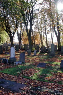 The Autumn sun casts shadows at Hawkhead Cemetery, Paisley
Hawkhead Cemetery is Paisley's main grave yard and covers some 23 acres, much of it planted with trees as in this photo.  It was opened in 1891 and still in use today.  [url=http://www.streetmap.co.uk/map.srf?X=250135&Y=663260&A=Y&Z=120/] Map location. [/url]
