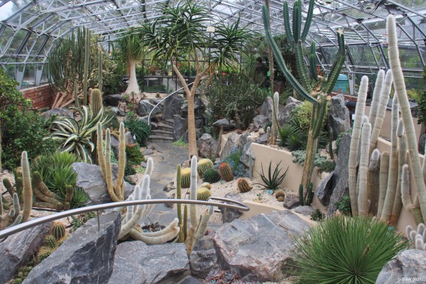 Inverness Botanical Garden
Inside the hothouse at Inverness Botanical Gardens. [url=http://streetmap.co.uk/map.srf?X=265693&Y=843663&A=Y&Z=115/] Map location [/url]
