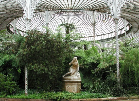 Inside the Kibble Palace, Glasgow Botanic Gardens
Inside the Kibble Palace at the Botanic Gardens, Glasgow.  This photo was taken before the major restoration programme of 2005/2006 so although there is plenty of plant material the actual structure is looking a bit worse of the the wear.
